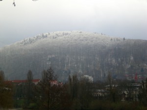 CIMG2261_m